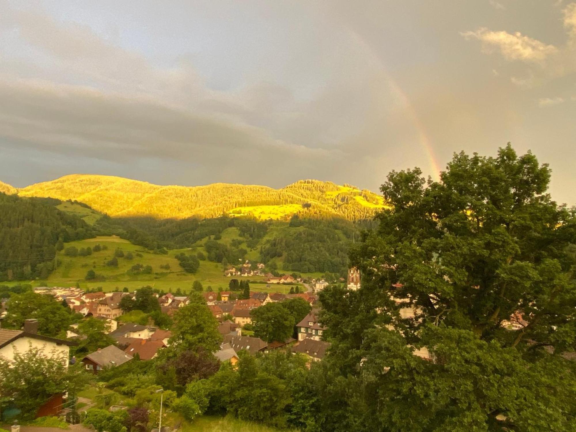 Schoenblick * Schonau im Schwarzwald